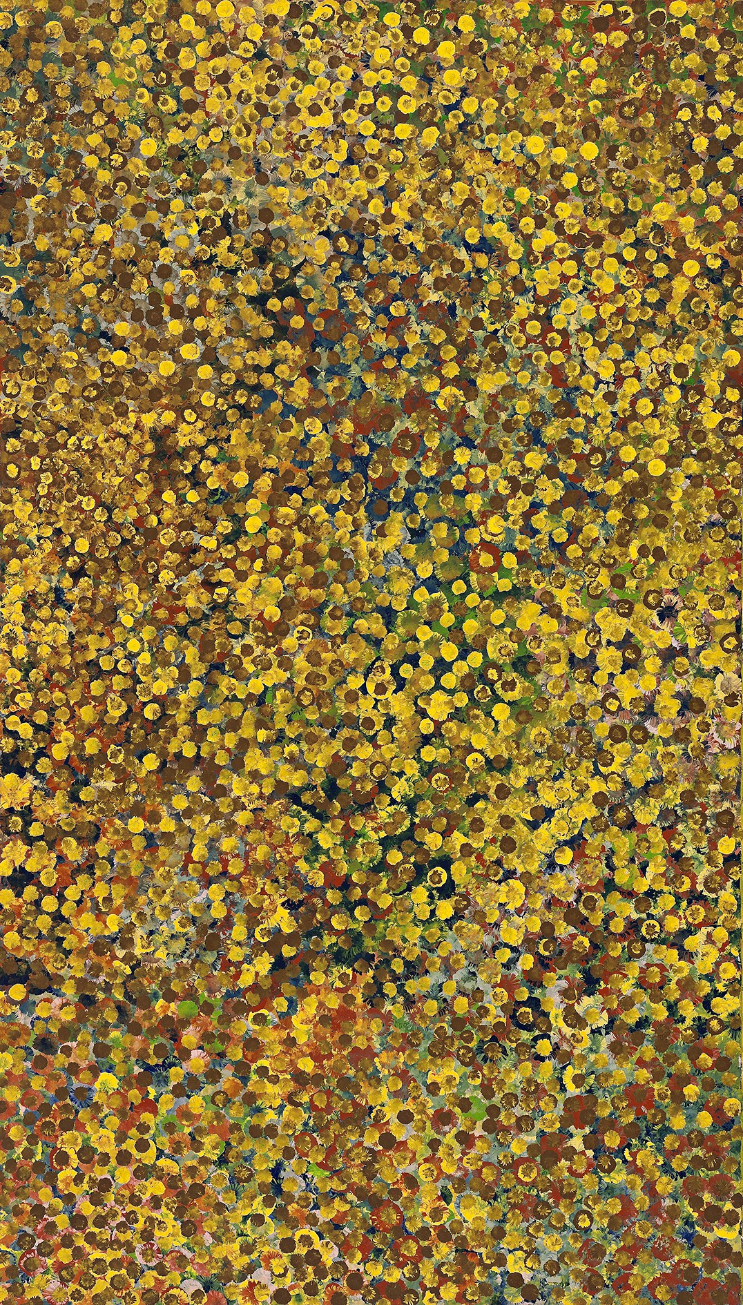 46 · EMILY KAME KNGWARREYE, THE FIRST FLOWERS OF SUMMER, 1990