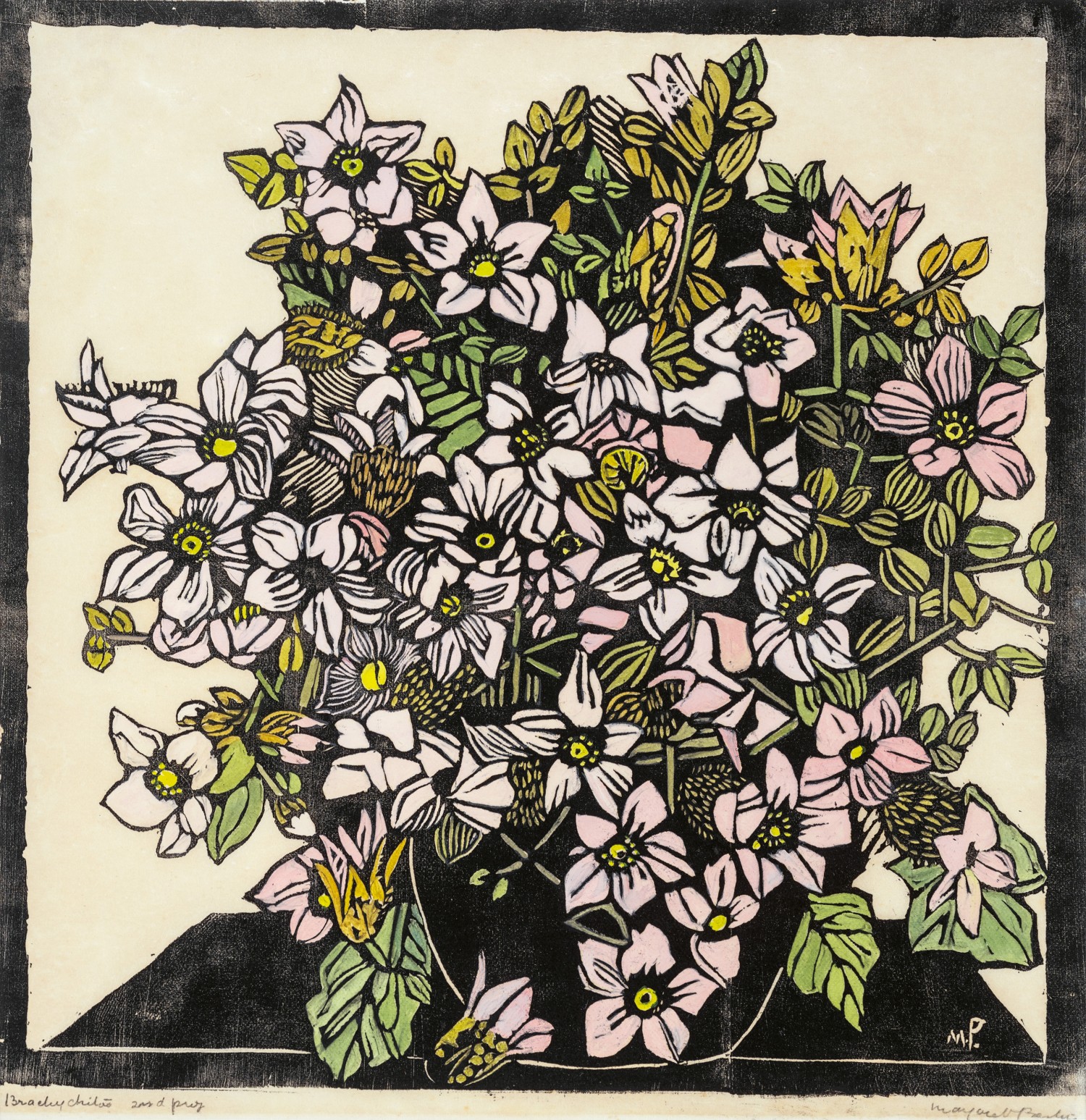 46 · MARGARET PRESTON, BRACHYCHITON DISCOLOR, c.1931